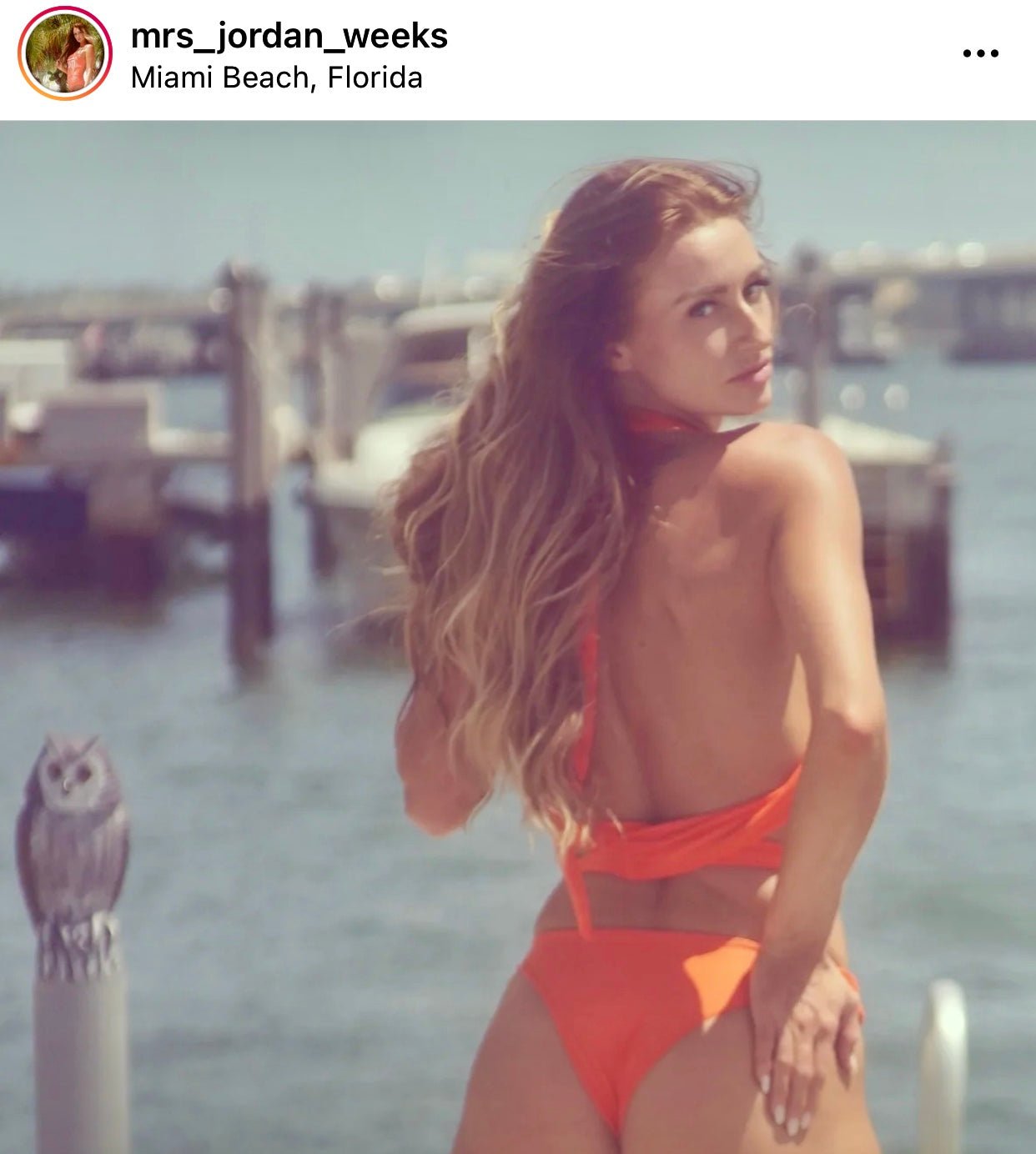 Camille Kostek V-Cut Bikini Bottom